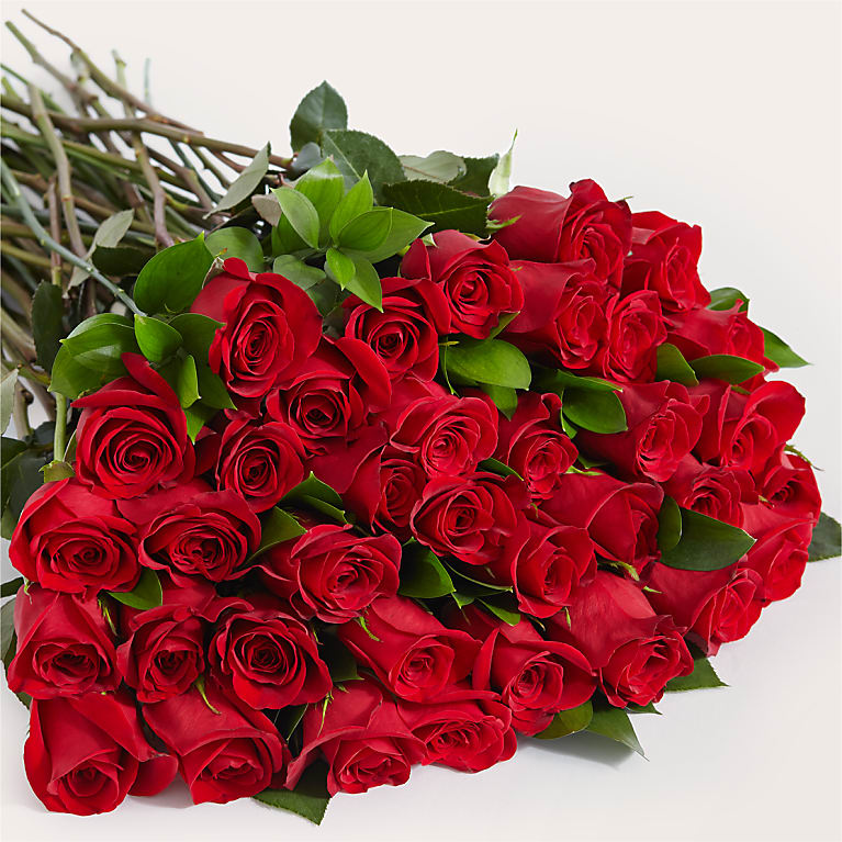 Three Dozen Long Stem Red Roses