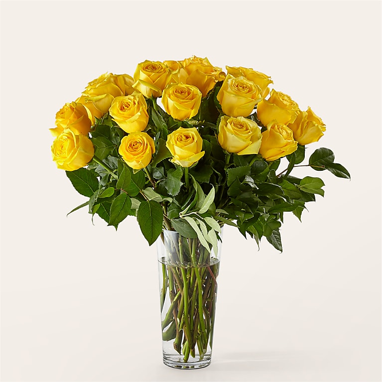 Long Stem Yellow Rose Bouquet
