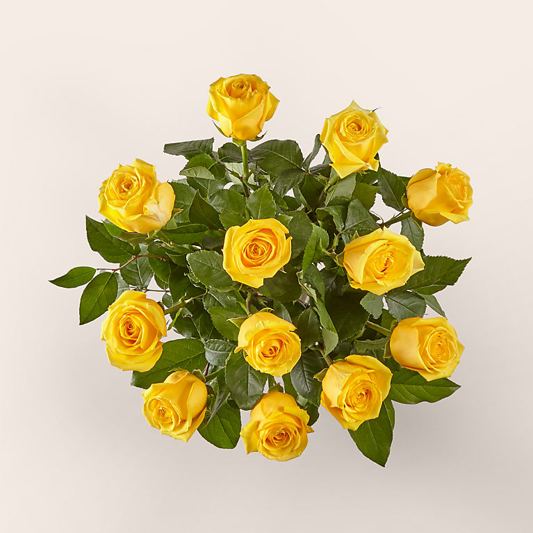 Long Stem Yellow Rose Bouquet