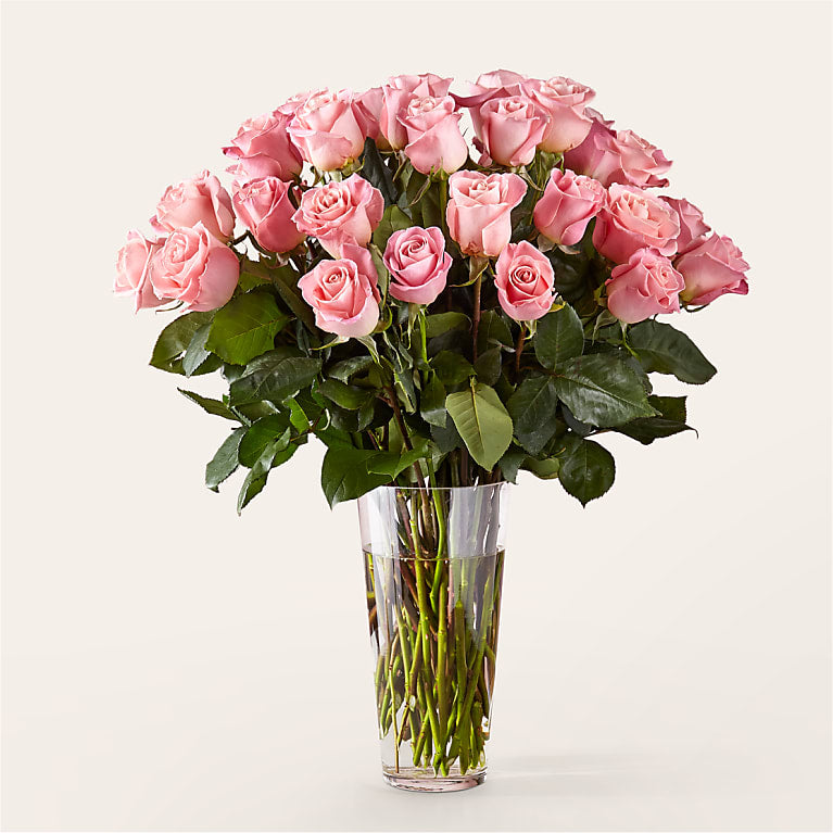 Long Stem Pink Rose Bouquet