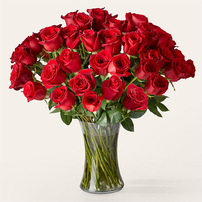 Fifty Long Stem Red Roses