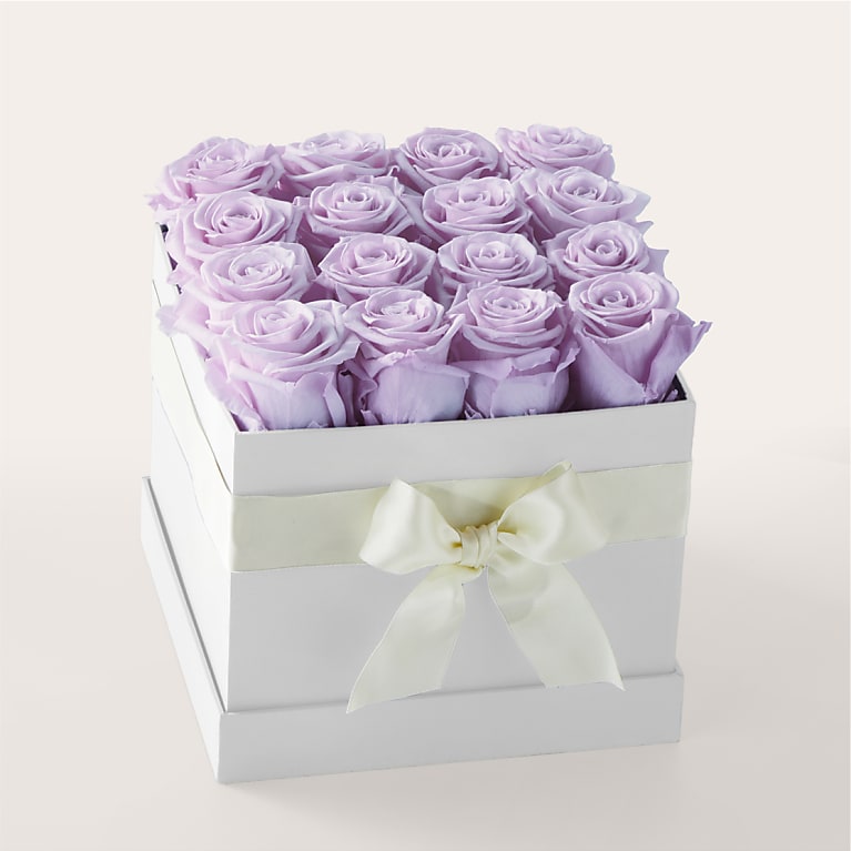 Lavender Forever Rose