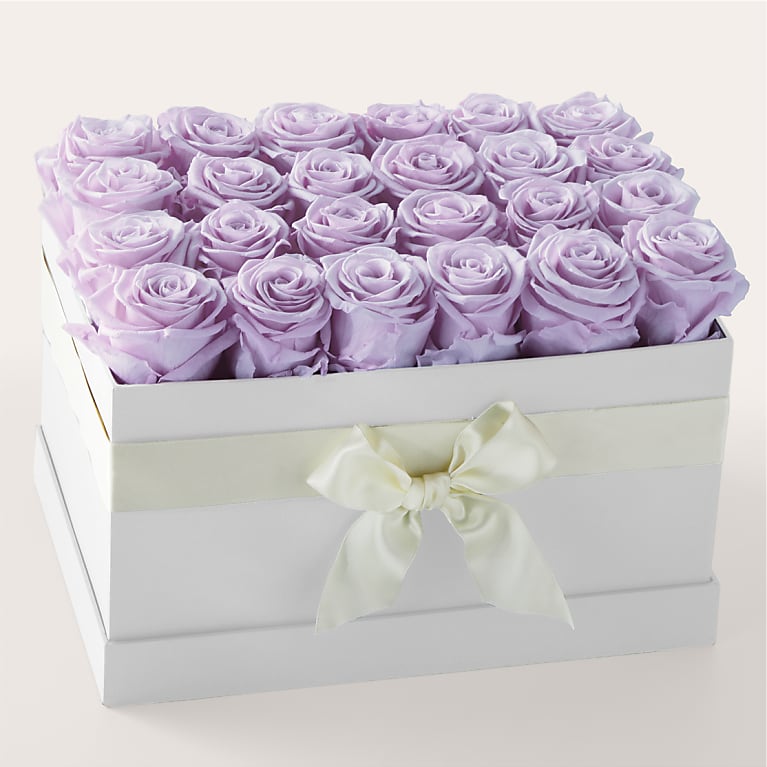 Lavender Forever Rose