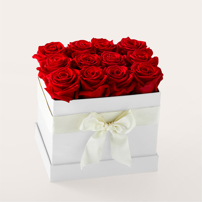 Red Forever Roses