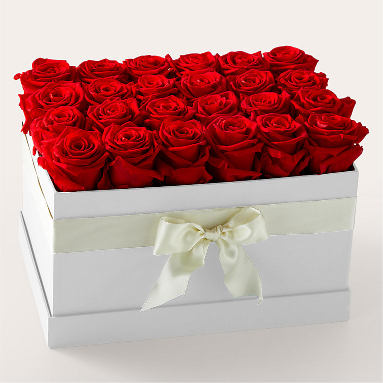 Red Forever Roses