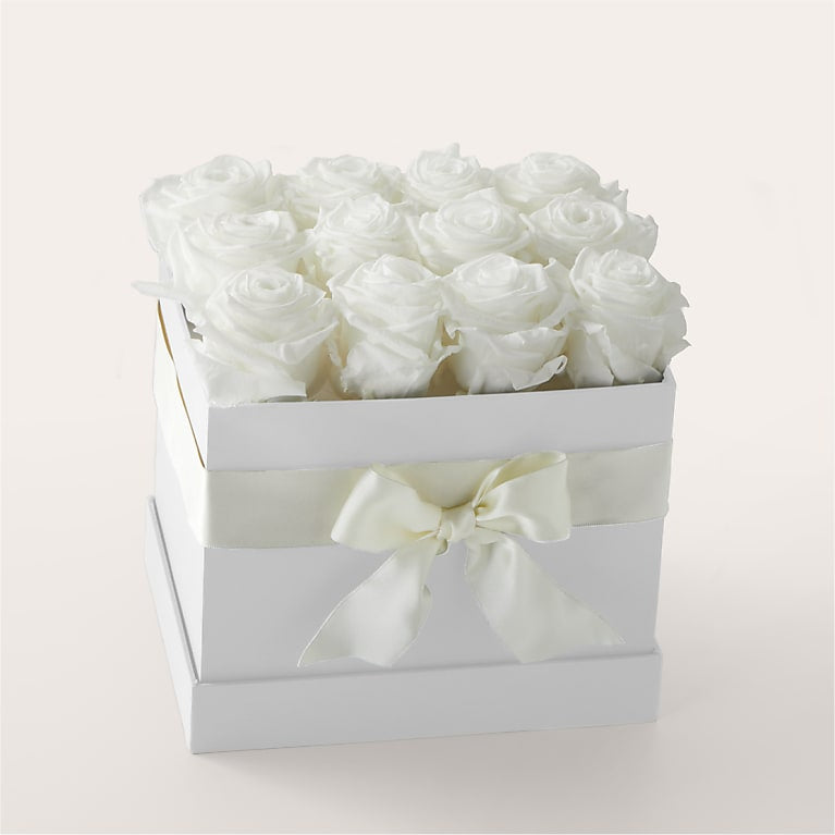 White Forever Roses