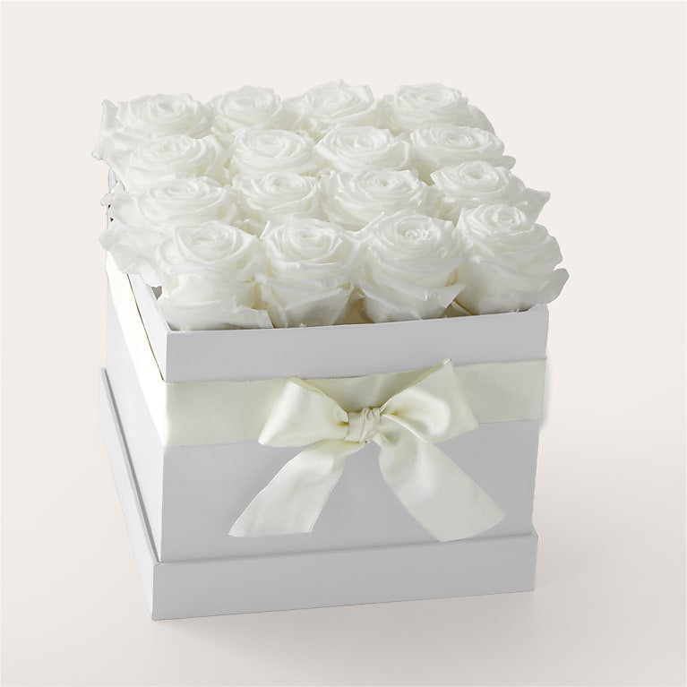 White Forever Roses