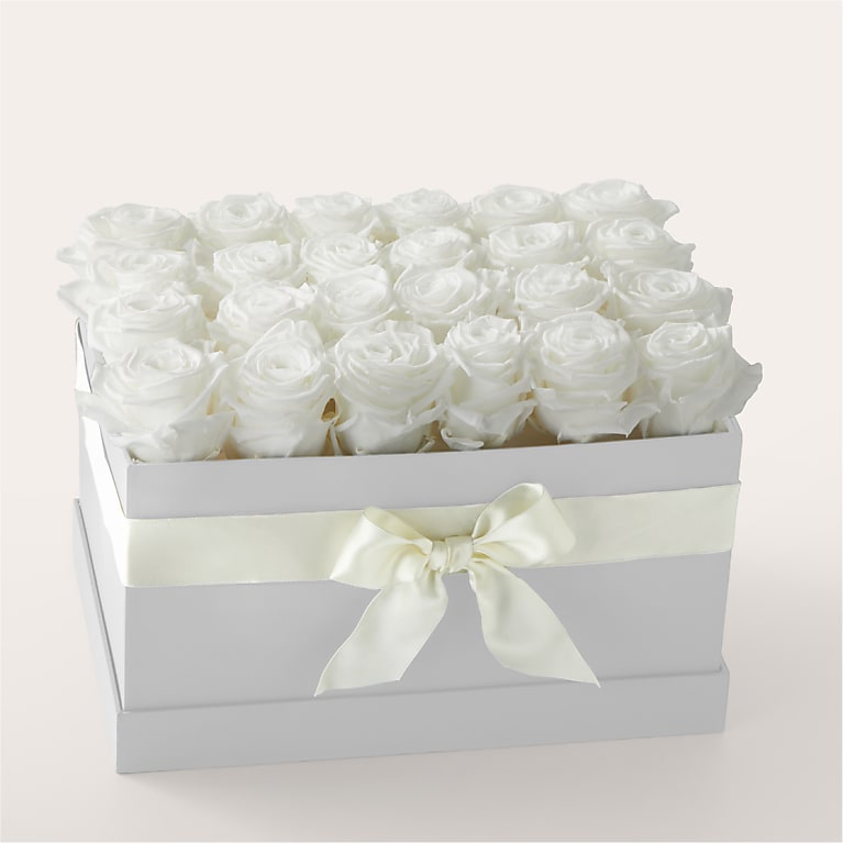 White Forever Roses